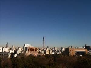 Tokyo Skytree 2011-01-08